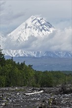 Scenery mountain landscape: beautiful summery view of snowcapped rocky cone of Kamen Volcano on