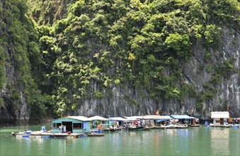 Floating fishing village in the Gulf of Tonkin at Halong Bay, Vietnam, Asia