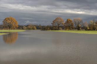 Trees reflected in a flooded meadow after heavy rains. Autumn landscape. Bas-Rhin, Alsace, Grand