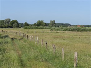 Wide pasture landscape with simple wooden fence and green trees under a clear summer sky, borken,