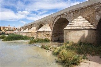 The Roman Bridge with the Cathedral-Mosque of Cordoba in the background. Andalusia, Spain, Europe