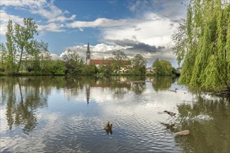 Huttenheim village reflected in a natural tree-lined river in spring. Bas Rhin, Alsace, France,