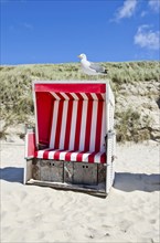 Seagull sitting on a beach chair in dune landscape in Northern Germany