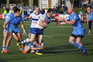 09.11.2024, Rugby 1st Bundesliga South/West, Season 2024/25, Matchday 7: TSV Handschuhsheim vs