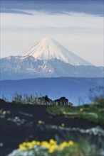 Summer volcanic landscape of Kamchatka Peninsula: view of active Kronotsky Volcano (Kronotskaya