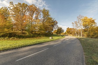 Road on a sunny morning in the mountains in autumn. France