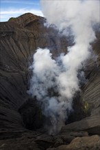 View into volcanic crater of active volcano Bromo with steam and smoke