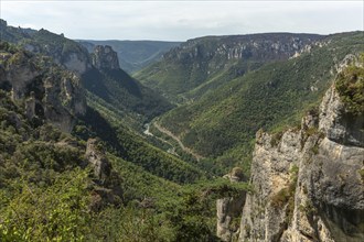 Gorges of Tarn seen from hiking trail on the corniches of Causse Mejean above the Tarn Gorges. La