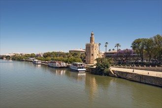 Golden tower Torre del Oro along the Guadalquivir river, Seville Andalusia, Spain, Europe