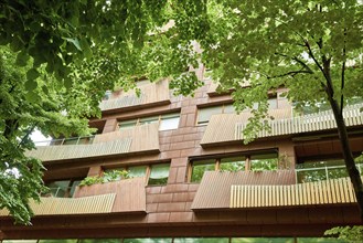 Eco-friendly building in the city. Green tree branches with leaves and sustainable glass building