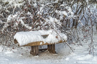 Feeder to feed the birds under the snow in winters. Alsace, France, Europe