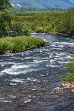 Beautiful landscape, view of stream clear water of mountain river and green forest on river bank.