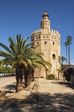 Torre del Oro Gold Tower medieval landmark from early 13th century in Seville, Spain, Andalusia