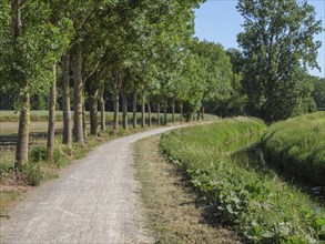 A rural path lined with trees under a clear blue sky, the summer atmosphere is soothing, borken,