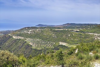 Hilly landscape on the Kassandra peninsula, Chalkidiki, Greece, Europe