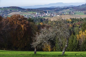 Autumn atmosphere, sparse trees, forest with foliage colouring, behind St. Nikolai im Sausal,