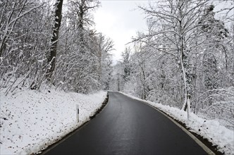 Slippery icy road in the forest in winter