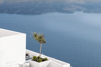 White architectural details with olive tree and beautiful view of the Aegean sea at Oia in