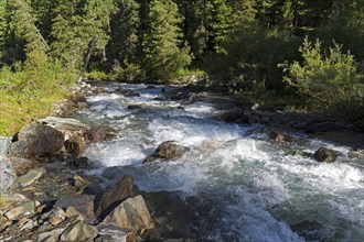 Altai Mountains. The river Esthtykol. August. Siberia, Russia, Europe