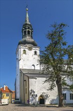 St. Mary's Cathedral is a cathedral church located on Toompea Hill in Tallinn, Estonia, Europe