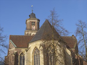 Church with steeple and branching tree in the foreground, coesfeld, münsterland, germany