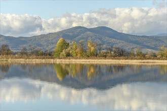 Flooded meadow after heavy rains. Autumn landscape. Bas-Rhin, Collectivite europeenne d'Alsace,