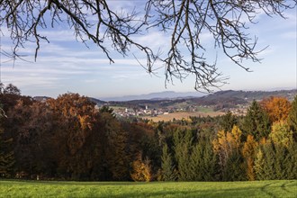 Autumn atmosphere, forest with foliage colouring, behind St. Nikolai im Sausal, Sausal wine