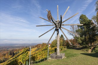 Autumn atmosphere with foliage colouring, largest Klapotetz in the world, Demmerkogel, municipality