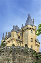 Chateau de Clerans has a beautiful slate roof with spires and ornamental stone work,