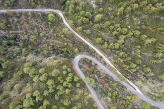 Drone aerial of forest landscape curved secondary road through the forest. Adventure and unknown