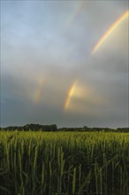 Rainbow over agricultural fields in stormy weather