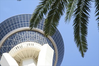 Palm tree in front of high Stratosphere tower