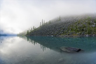 Reflection of the shore of the lake in the watery surface. A misty summer morning. The large