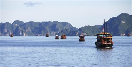 Wooden Tourist boats sailing at the famous Halong bay in northeast Vietnam, Asia