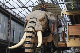 Tourist attraction The Great Elephant on the Ile de Nantes in the Loire, Nantes, Loire-Atlantique