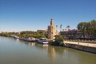 Golden tower Torre del Oro along the Guadalquivir river, Seville Andalusia, Spain, Europe