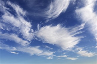 White cirrus clouds on blue sky, cirrus clouds of ice crystals frayed by high-altitude winds. White