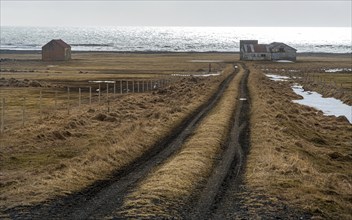 Icelandic meadow land with empty rural road leading to an abandoned farmhouse near the Atlantic