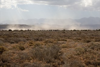 Wind whirls up sand on dry prairie in Africa