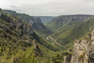 Gorges of Tarn seen from hiking trail on the corniches of Causse Mejean above the Tarn Gorges. La