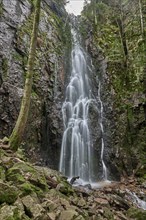 Burgbach Waterfall in coniferous forest falls over granite rocks into the valley near Bad