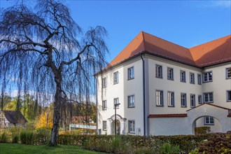 Maria rose garden, former woman's convent, left: silver birch (Betula pendula), Bad Wurzach,