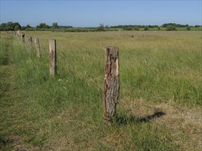 A simple wooden fence on a green summer meadow under a clear sky in a rural setting, borken,