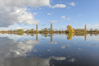 Flooded meadow after heavy rains. Autumn landscape. Bas-Rhin, Collectivite europeenne d'Alsace,