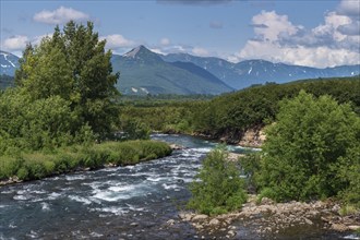 Stunning summer panorama landscape of Kamchatka Peninsula: view of stream clear water of mountain