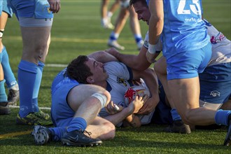 09.11.2024, Rugby 1st Bundesliga South/West, Season 2024/25, Matchday 7: TSV Handschuhsheim vs