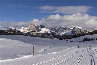 Cross-country skiing on the Seiser Alm, South Tyrol, Italy, Europe