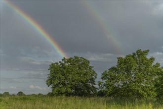 Rainbow appearing in rainy clouds in spring. Bas Rhin, Alsace, France, Europe