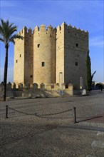 Torre de la Calahorra medieval tower, Cordoba, Spain, Europe