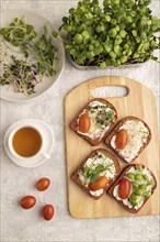 Red beet bread sandwiches with cream cheese, tomatoes and microgreen on gray concrete background.